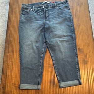 Celebrity Pink Blue Ankle Cropped Jeans